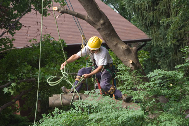 Leaf Removal in Carroll Valley, PA
